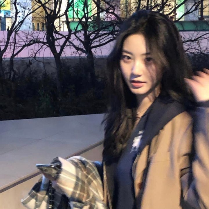 红色翅膀：火烈鸟故事